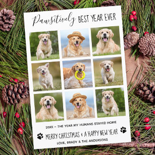 Cartão De Festividades Colagem de Fotos Pet De Cães, Pawsitivamente Melho