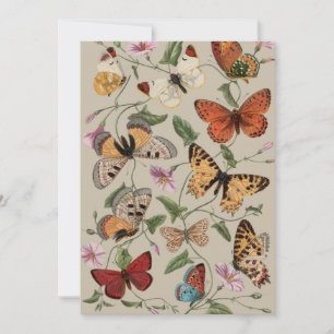 Cartão De Festividades Coleção de Desenhos de Mariposa Borboleta Natureza