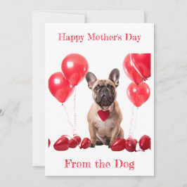 Cartão De Festividades Coleira Vermelha do Bulldog Francês Personalizada