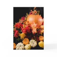 Colheita de outono - Pumpkin e gourd ainda vida