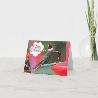Cartão De Festividades Colibri do Feliz Natal
