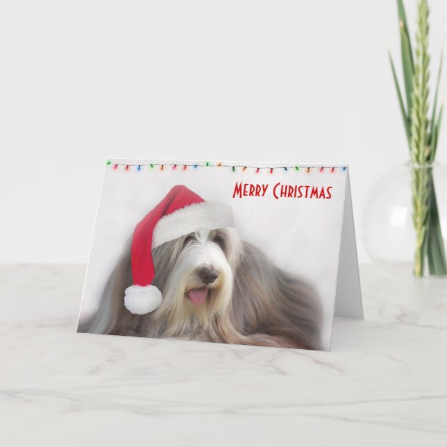 Cartão De Festividades Collie farpado do Feliz Natal (Frente)