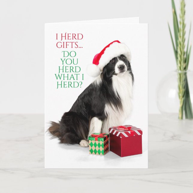 Cartão De Festividades Collie, Fronteira De Presente Com Papai Noel (Frente)