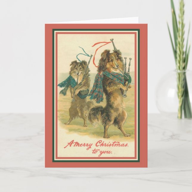 Cartão De Festividades Collies Jogando Baguts (Frente)