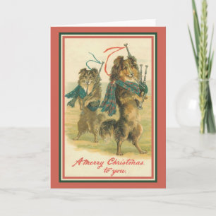 Cartão De Festividades Collies Playing Bagpipes