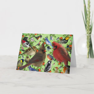 Cartão De Festividades Colorful Bird Collage