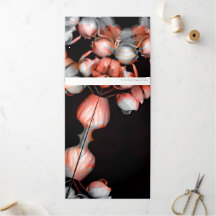 "Coração branco em preto do sol" & Tempo