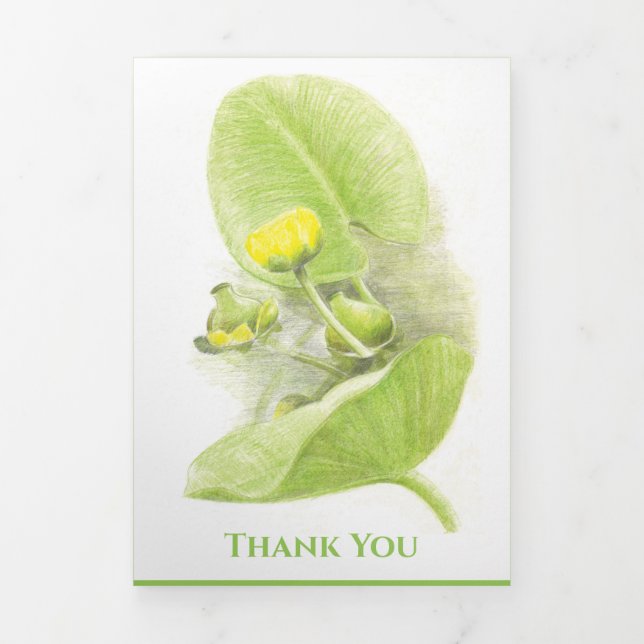 Cartão De Festividades Com Dobra Tripla Flores lírios Lápis (Cobrir)