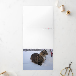 Cartão De Festividades Com Dobra Tripla gato florestal norueguês na neve