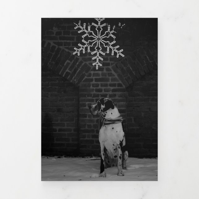 Cartão De Festividades Com Dobra Tripla Jahresrückblick Fotos Karte  (Cobrir)