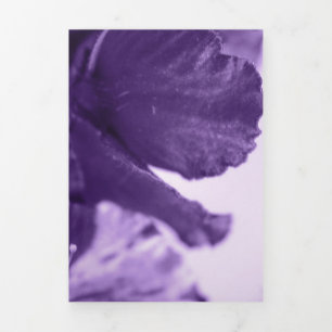 Cartão De Festividades Com Dobra Tripla Violetas Monocromáticas