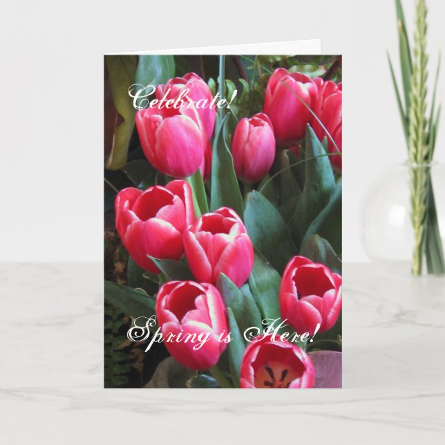 Cartão De Festividades Comemore! , O primavera está aqui! (Frente)