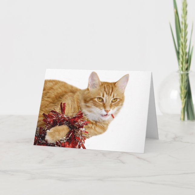 Cartão De Festividades Comendo decorações de Natal (Frente)