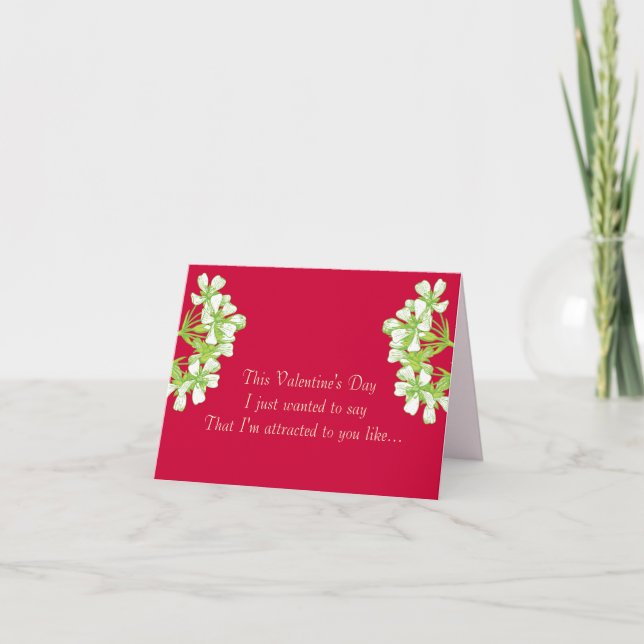 Cartão De Festividades Como uma mosca a um Flytrap de Venus (Frente)