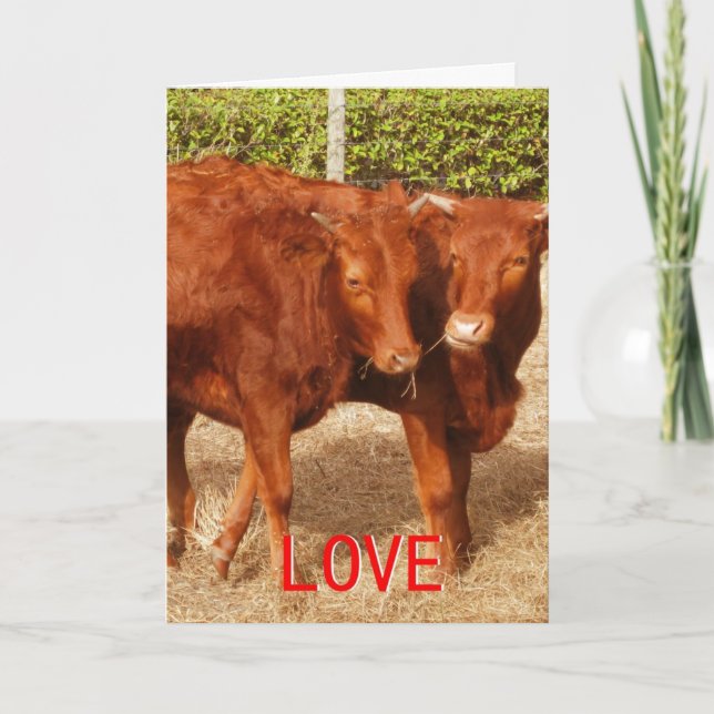 Cartão De Festividades Compartilhamento de amor (Frente)