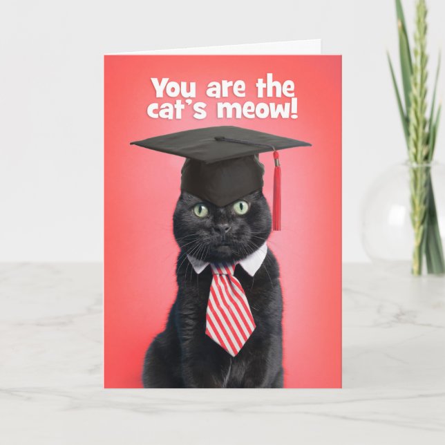 Cartão De Festividades Congratulations Graduate Cat in Graduation Cap (Frente)