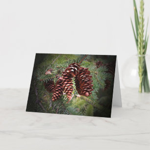 Cartão De Festividades Convênio Pinecone de Natal