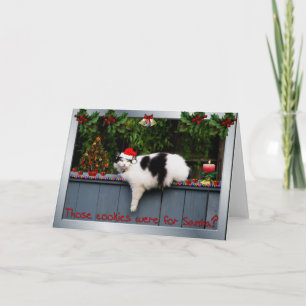 Cartão De Festividades Cookie Loving Cat