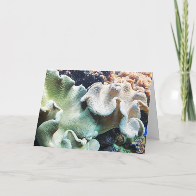 Cartão De Festividades Coral de couro de ferramentas (Frente)