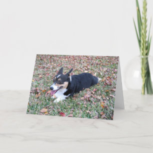 Cartão De Festividades Corgi - Ação de Graças