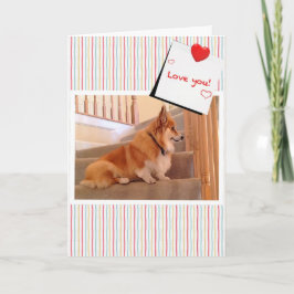 Cartão De Festividades Corgi Bonito Fluffy no Namorados das Escadas