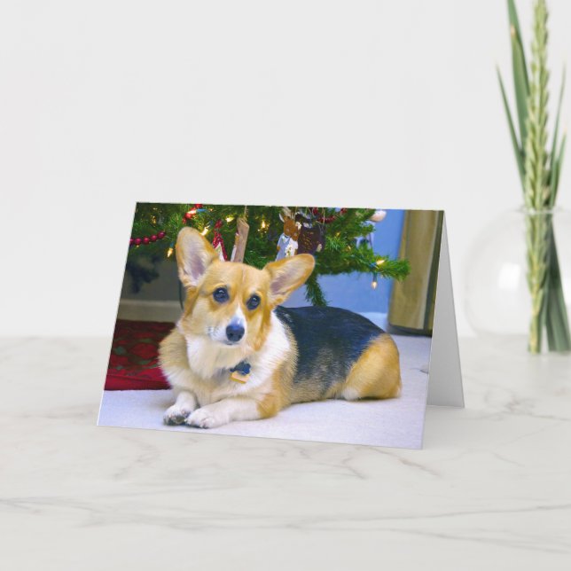 Cartão De Festividades Corgi doce do Natal (Frente)