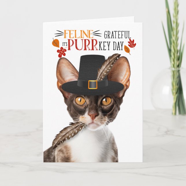 Cartão De Festividades Cornish Rex Cat Feline Grateful para PURRkey Day (Frente)
