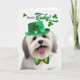 Cartão De Festividades Coton de Tulear Cachorro Sorte no Dia de São Patrí