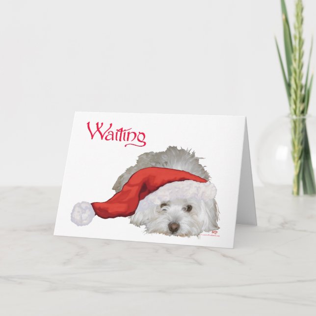 Cartão De Festividades Coton de Tulear - Esperando (Frente)
