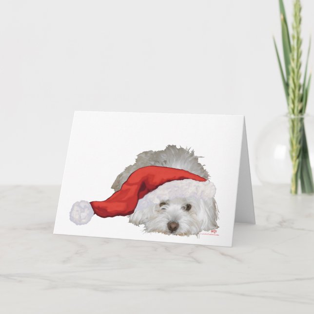 Cartão De Festividades Coton de Tulear - Esperando (Frente)