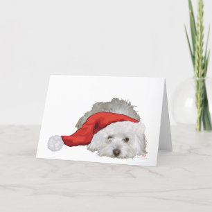 Cartão De Festividades Coton de Tulear - Esperando