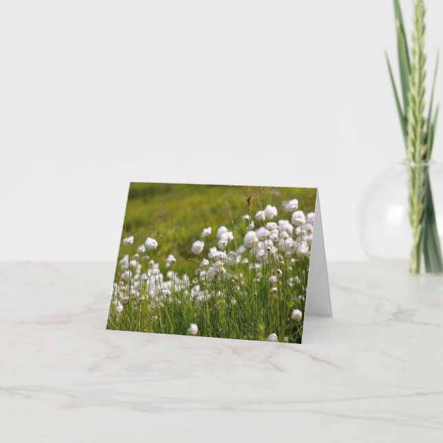 Cartão De Festividades Cotton Grass Meadow - 4" x 5.6" Notecard (Frente)