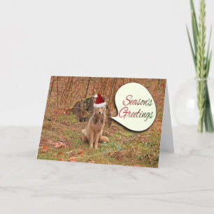 Cartão De Festividades Coyote de Natal