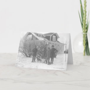 Cartão De Festividades Crianças fora da árvore de Natal