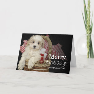 Cartão De Festividades Cristmas Malti-poo puppy sitting in basket