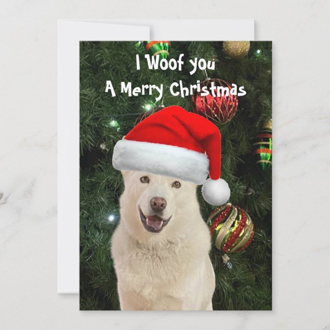 Cartão De Festividades Crystal's The Rouco Dog Christmas Card (Frente)