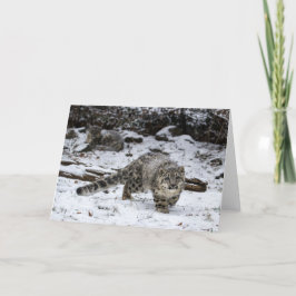 Cartão De Festividades Cubo-leopardo-da-neve de inverno