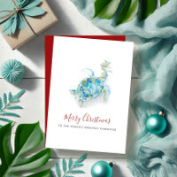 Cuidador de Tartarugas Marinhas no Natal Costeiro