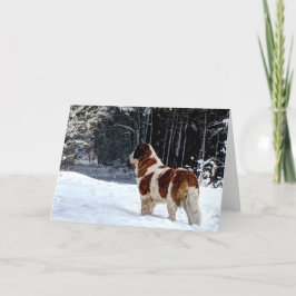 Cartão De Festividades Cumprimento fotográfico do Natal da neve de St