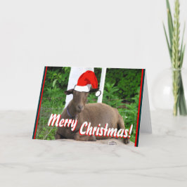 CARTÃO DE FESTIVIDADES CUMPRIMENTOS DA CABRA DO FELIZ NATAL