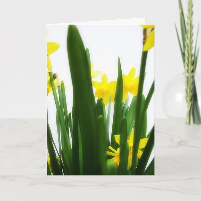 Cartão De Festividades Cumprimentos da páscoa (Frente)