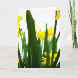 Cartão De Festividades Cumprimentos da páscoa