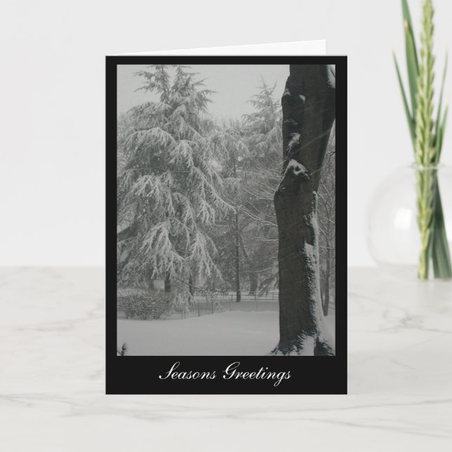 Cartão De Festividades Cumprimentos das estações (Frente)