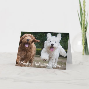 Cartão De Festividades Cuppias de Cockapoo Adoráveis Placa de dia de os