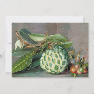 Cartão De Festividades Custard Apple - Marianne North