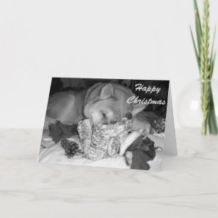 Cartão De Festividades Cute akita dog asleep cuddling toys for christmas
