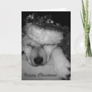 Cartão De Festividades Cute akita dog asleep santa hat tinsel christmas