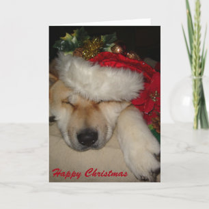 Cartão De Festividades Cute akita dog asleep santa hat tinsel christmas