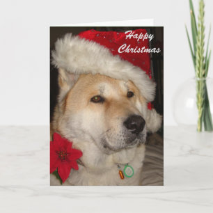 Cartão De Festividades Cute akita dog red santa hat pointsettia christmas