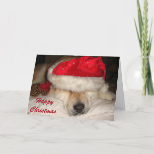 Cartão De Festividades Cute akita dog santa hat cones asleep christmas